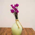 - Located, Calm & Super Tidy