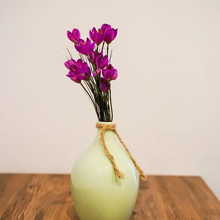 - Located, Calm & Super Tidy